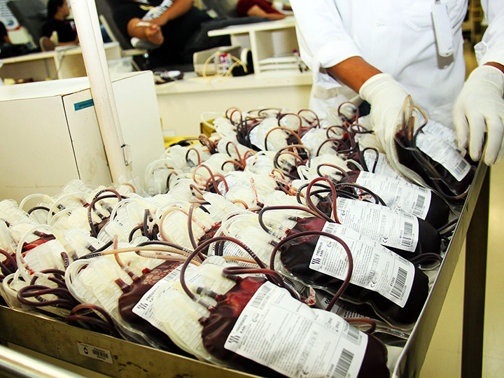Foto do SobreVivência - Pacotes de sangue doado são colocados em um conteiner por uma pessoa de laboratório